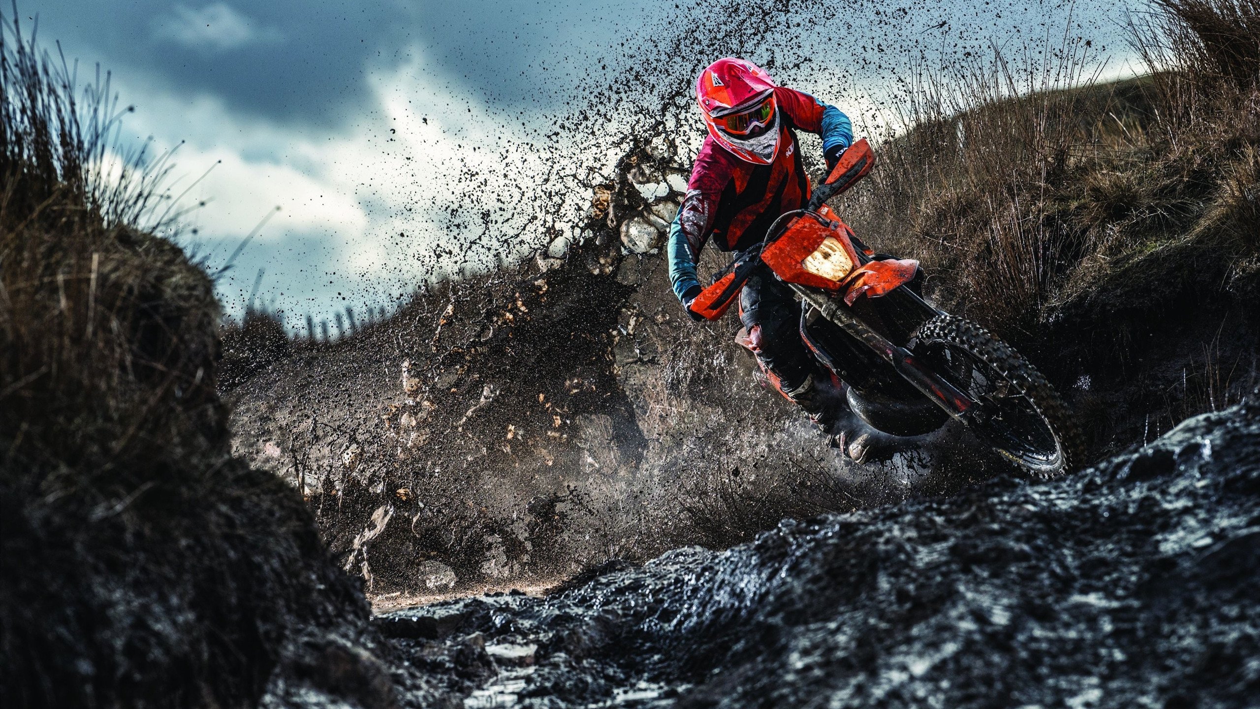 王宗源跳水动作流畅无瑕疵，王宗源跳水比赛