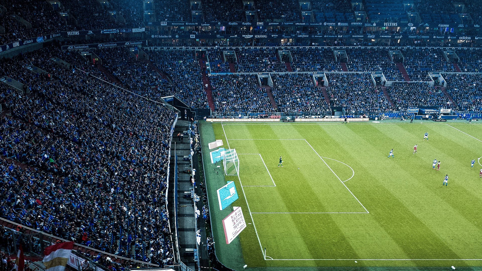 国家队举办青年运动“创新技能”大会探索新型培训模式